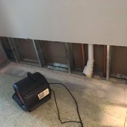 42975833_2309079839323969_8589140976532979712_n