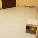 57611753_2447188812179737_8834566536086683648_n