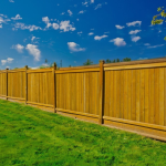 fence from canva